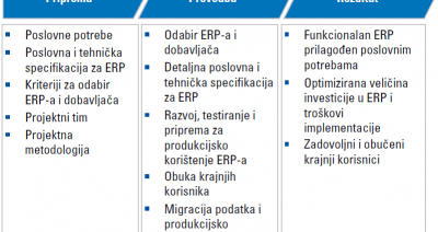 Interim ERP Manager