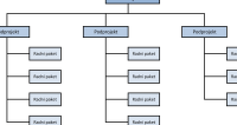 Projektni kontroling: Strukturna analiza rada