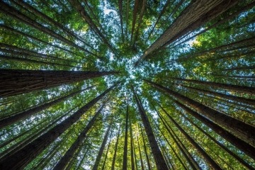 Procesna priprema za implementaciju ERP-a Procesna priprema za implementaciju ERP-a
