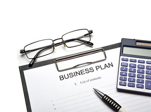 DEVELOPMENT OF BUSINESS PLANS